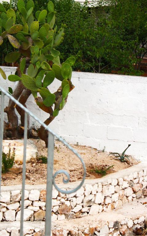 B&B Margherita Ostuni Eksteriør billede